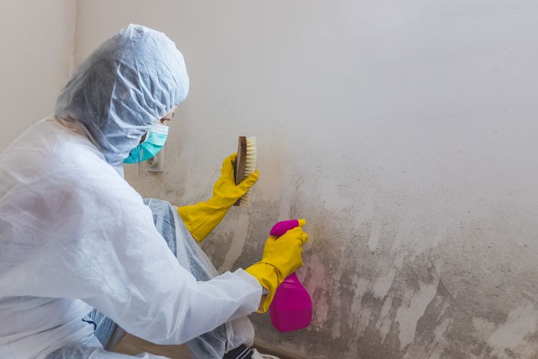 Mold Inspection